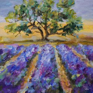 Lavender Field  V, 6x6, price on request