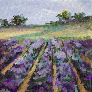 Lavender Field VII, 6x6, price on request